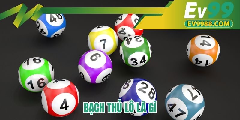 Bạch thủ lô là gì