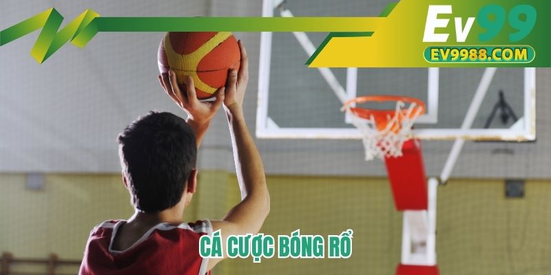 Cá cược bóng rổ