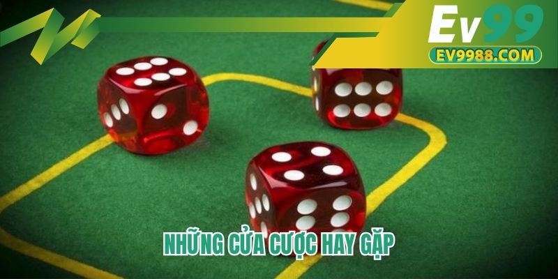 Những cửa cược hay gặp